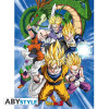Set de 2 Posters - Dragon Ball - Groupes - 52 x 38 cm - ABYstyle