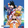 Poster - Dragon Ball - DBZ / Kame Team - 52 x 38 cm - ABYstyle