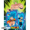 Set de 2 Posters - Dragon Ball Super - Broly - 52 x 38 cm - ABYstyle