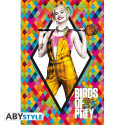 Poster - DC Comics - Birds of Prey Harley Quinn - 91.5 x 61 cm - ABYstyle