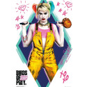 Poster - DC Comics - Birds of Prey - Harley Quinn - 91.5 x 61 cm - GB eye
