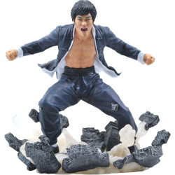 Figurine - Bruce Lee Gallery - Earth - Diamond Select