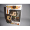 Figurine - Pop! TV - The Walking Dead - Daryl Dixon with Dog - N° 1182 - Funko