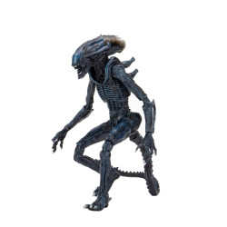 Figurine - Alien vs Predator - Arachnoid Alien - 20 cm - NECA