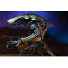 Figurine - Alien vs Predator - Chrysalis Alien - 20 cm - NECA
