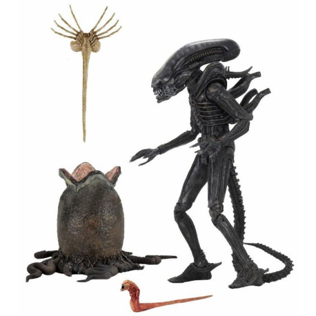 Figurine - Alien - Ultimate 40th Anniversary Big Chap - 23 cm - NECA