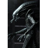 Figurine - Alien - Ultimate 40th Anniversary Big Chap - 23 cm - NECA