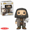 Figurine - Pop! Harry Potter - Hagrid with Cake - N° 78 - Funko