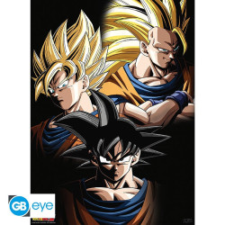 Poster - Dragon Ball - Transformations Goku - 52 x 38 cm - GB eye