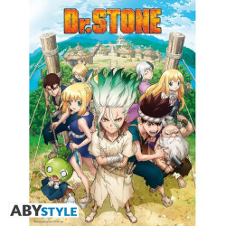 Poster - Dr Stone - Groupe - 52 x 38 cm - ABYstyle