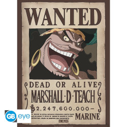 Poster - One Piece - Wanted Blackbeard - 52 x 38 cm - GB eye