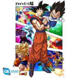 Poster - Dragon Ball Super - Cases animés - 91.5 x 61 cm - GB eye