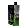 Figurine - Star Wars - Black Series - Wicket (Le Retour du Jedi) - Hasbro