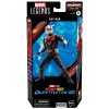 Figurine - Marvel Legends - Ant-Man Quantumania - Ant-Man - Hasbro