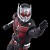 Figurine - Marvel Legends - Ant-Man Quantumania - Ant-Man - Hasbro