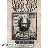 Poster - Harry Potter - Wanted Sirius Black - 91.5 x 61 cm - ABYstyle