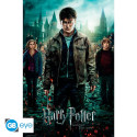 Poster - Harry Potter - Reliques de la Mort - 91.5 x 61 cm - GB eye
