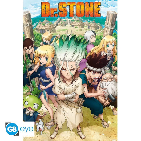 Poster - Dr Stone - Groupe - 91.5 x 61 cm - ABYstyle