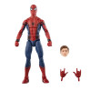 Figurine - Marvel Legends - The Infinity Saga - Spider-Man - Hasbro
