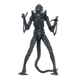 Figurine - Aliens - Ultimate Alien Warrior Blue - NECA