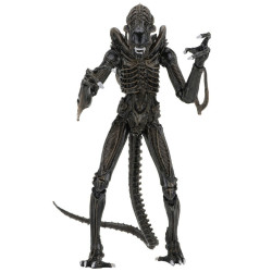 Figurine - Aliens - Ultimate Alien Warrior Brown - NECA