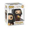 Figurine - Pop! Harry Potter - Rubeus Hagrid - N° 171 - Funko