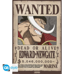 Poster - One Piece - Wanted Whitebeard - 91.5 x 61 cm - GB eye