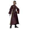 Figurine - Star Wars - Black Series - Padmé Amidala (La Menace Fantôme) - Hasbro