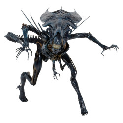 Figurine - Alien - Aliens - Xenomorph Queen Ultra Deluxe - NECA