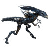 Figurine - Alien - Aliens - Xenomorph Queen Ultra Deluxe - NECA