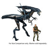Figurine - Alien - Aliens - Xenomorph Queen Ultra Deluxe - NECA