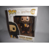 Figurine - Pop! Harry Potter - Rubeus Hagrid - N° 171 - Funko