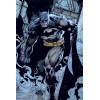 Poster - DC Comics - Batman Prowl - 61 x 91 cm - Pyramid International