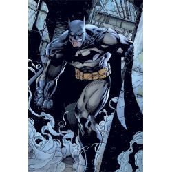 Poster - DC Comics - Batman Prowl - 61 x 91 cm - Pyramid International