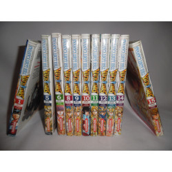 Lot mangas - Saint Seiya The Lost Canvas - 11 Tomes - Edition Kurokawa