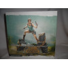 Figurine - Tomb Raider - Lara Croft - 23 cm - Dark Horse