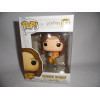 Figurine - Pop! Harry Potter - Hermione Granger (Pattenrond) - N° 167 - Funko